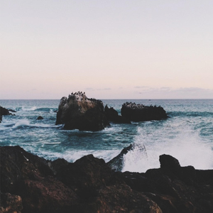 日本少妇做爰全过程二区
