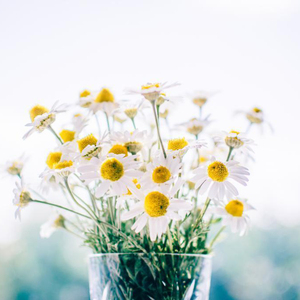 日本少妇做爰全过程二区
